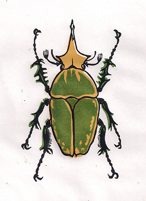 Käfer 2